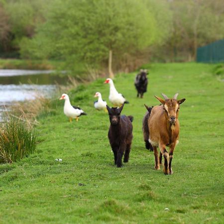 Gites De La Ferme De Vur Ven Gouvieux Εξωτερικό φωτογραφία