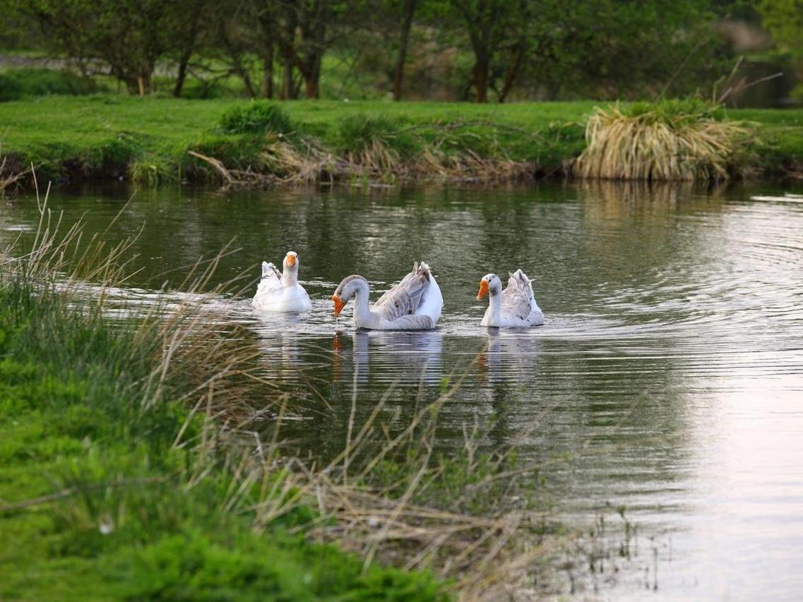 Gites De La Ferme De Vur Ven Gouvieux Εξωτερικό φωτογραφία